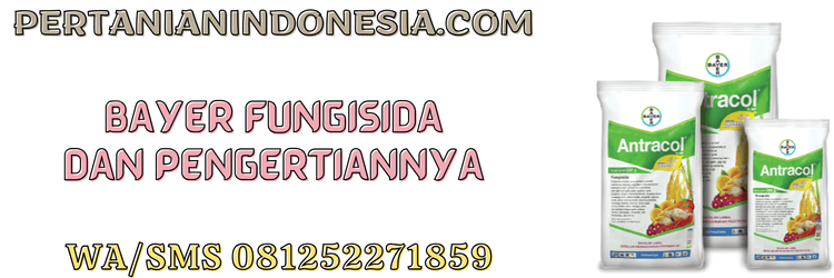 bayer,fungisida,pestisida,pestisida jenis fungisida,pertanian indonesia